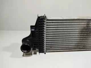 2515000000 Интеркулер Mercedes ML W164 Арт e9197066, вид 2