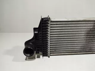 2515000000 Интеркулер Mercedes ML W164 Арт e9197066, вид 3