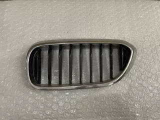 8070469 Решетка радиатора BMW 5 G30/G31 Арт e9251776, вид 1