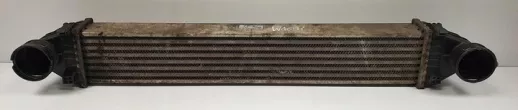 A1695000000 Интеркулер Mercedes A W169 Арт e9275878, вид 1