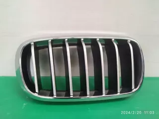 7316076 7309775 Решетка радиатора BMW X5 F15 Арт e9319639, вид 1