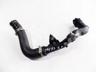 0550000 Гофра инжектора Peugeot Expert 3 Арт e9338556, вид 1