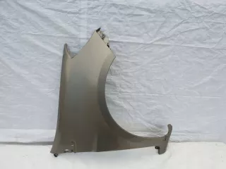8200256118 Крыло переднее правое Renault Clio 3 Арт e9408778, вид 1