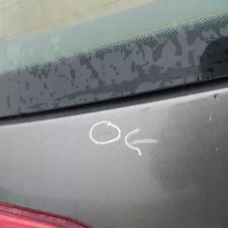numer_brak_vw-99 Крышка багажника (дверь 3-5) Volkswagen Golf 7 Арт e9496125, вид 4