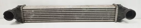 A1695000000 Интеркулер Mercedes A W169 Арт e9541002, вид 1