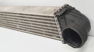 A1695000000 Интеркулер Mercedes A W169 Арт e9541002, вид 2