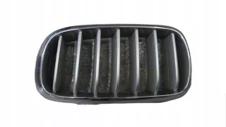 7316075 Решетка радиатора BMW X6 F16 Арт e9547567, вид 1
