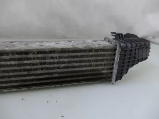 A2115003902 Интеркулер Mercedes E W211 Арт e9561223, вид 3