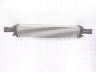 8K0145805E 8K0145805AC Интеркулер Audi A5 (S5,RS5) 1 Арт e9614679, вид 3