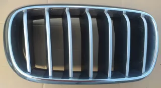 7316076 Решетка радиатора BMW X5 F15 Арт e9625184, вид 1