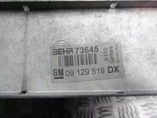09129519 Интеркулер Opel Astra H Арт e9638866, вид 4