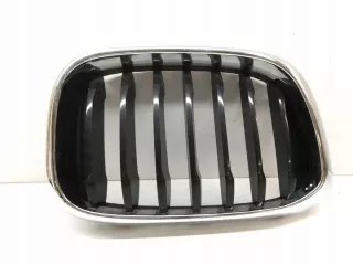 8091726 Решетка радиатора BMW X3 G01 Арт e9679708, вид 1