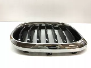 8091726 Решетка радиатора BMW X3 G01 Арт e9679708, вид 7