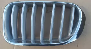 7210725 7237421 Решетка радиатора BMW X3 F25 Арт e9679740, вид 1