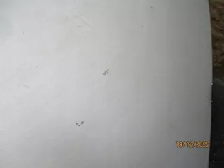 1499866080MA Капот Fiat Scudo 2 Арт e9695615, вид 4