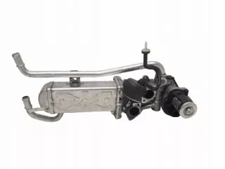 03L131512BH 0280751016 Радиатор EGR Volkswagen Passat B6 Арт e9703321, вид 1