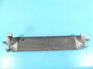 P3578001, 14461-JG70B Интеркулер Nissan X-Trail T31 Арт e9727041, вид 1