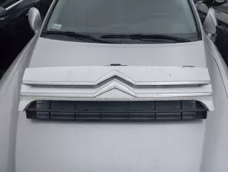  Решетка радиатора Citroen jumpy 2 Арт e9734725, вид 1