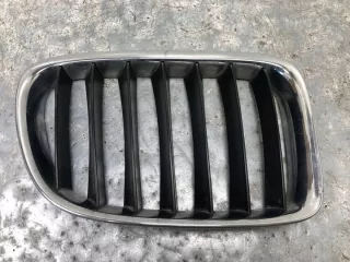 2993308 Решетка радиатора BMW X1 E84 Арт e9845048, вид 1