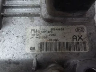 24443796 Блок управления двигателем Opel Corsa C Арт e9864845, вид 2