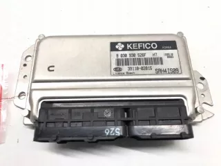 39110-02015 Блок управления двигателем Kia Picanto 1 Арт e9891868, вид 1