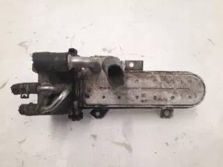 1723493 Радиатор EGR Volkswagen Golf 5 Арт e9985836, вид 1