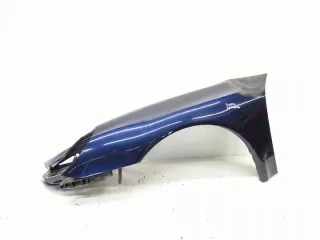 16608359665 Крыло переднее левое Porsche 911 Carrera 997 Арт e10152196, вид 1