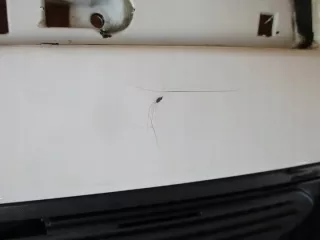 850221152R Бампер задний Renault Koleos Арт e10351055, вид 4