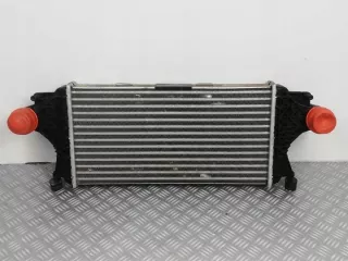 A0995002800 Интеркулер Mercedes GL X166 Арт e10474250, вид 1