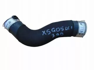 8599392 Гофра инжектора BMW X5 G05  Арт e10506228, вид 1