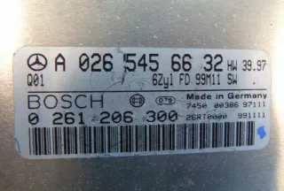 0261206300 Блок управления двигателем Mercedes S W220 Арт e10506722, вид 4