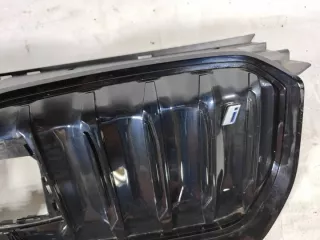 5A0BB8607 Решетка радиатора BMW X1 U11 Арт e10571853, вид 3