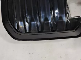 5A0BB8607 Решетка радиатора BMW X1 U11 Арт e10571853, вид 5