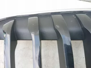 8493450 Решетка радиатора BMW X1 F48 Арт e10572403, вид 8