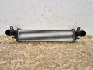 302001737AA интеркулер Chery Tiggo 7 PRO Арт DN200192, вид 1