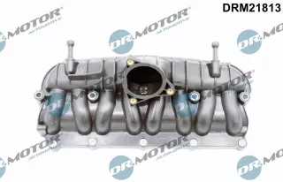 DRM21813 Коллектор впускной Volkswagen Touran 3 Арт AL14715328830_2, вид 4