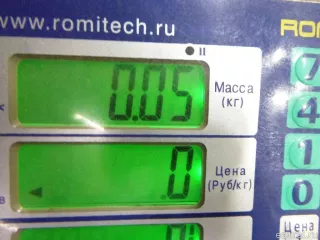 63316961996 BMW Фонарь салона (плафон) BMW X3 E83 Арт E48322668, вид 4