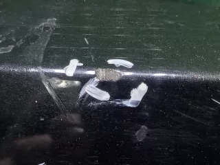 51128099905, 8069387 Бампер бмв г20 (г g 20) серия BMW 3 G20/G21 Арт 213969RM, вид 4