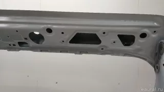 41007494942 BMW Дверь багажника BMW X3 G01 Арт E103047914, вид 22