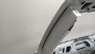 41007494942 BMW Дверь багажника BMW X3 G01 Арт E103047914, вид 25