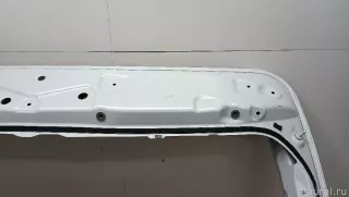 41007494942 BMW Дверь багажника BMW X3 G01 Арт E103047914, вид 6