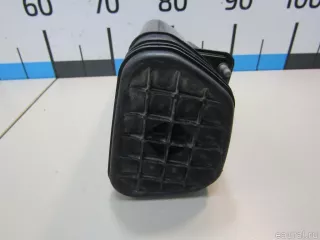 149509035R Renault Адсорбер (фильтр угольный) Renault Sandero 2 Арт E81096568, вид 5