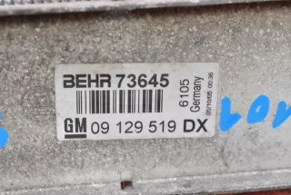 09129519DX Интеркулер Opel Astra G Арт e10590186, вид 9