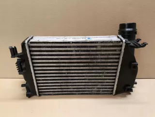 144614EA0A 144614EA1A 144614EA1B 144614EDOA Интеркулер Renault Talisman 1 Арт e10590529, вид 3