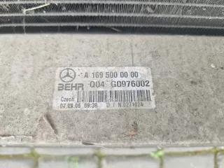A1695000754 A1695000000 Передняя панель крепления облицовки (телевизор) Mercedes B W245 Арт e10590621, вид 3