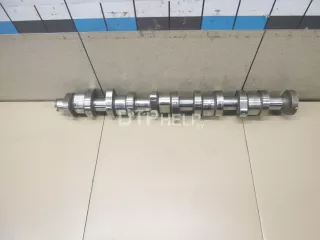 070109101P Распредвал Volkswagen Touareg 1 Арт AM100285439, вид 1