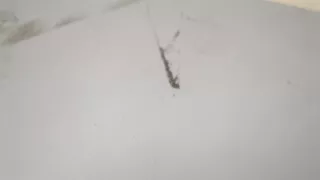 63213440408,3440408 Спойлер BMW X3 E83 Арт 20390307, вид 2