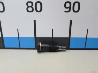 03F109507D VAG Натяжитель цепи Skoda Octavia A8 Арт E81061431