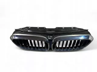 7497279 Решетка радиатора BMW 5 G30/G31 Арт e12673430, вид 2