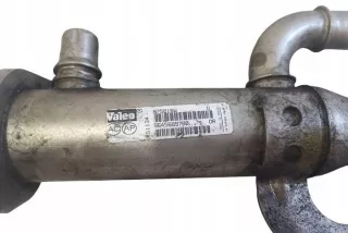875816W 9645689780 Радиатор EGR Citroen C4 2 Арт e12659977, вид 1